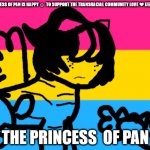 Among Us Twerk Flags: Pansexual - Imgflip