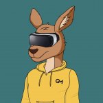 VR Kangaroo