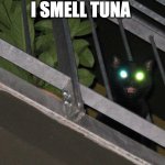 TUNA | I SMELL TUNA | image tagged in cursed cat,memes,funny,cats,demon cat,tuna | made w/ Imgflip meme maker