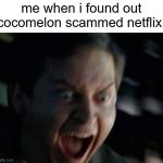 Screaming Peter Parker | me when i found out cocomelon scammed netflix: | image tagged in screaming peter parker,cocomelon,netflix | made w/ Imgflip meme maker