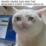 the feels, man | WHEN YOU FINALLY REUNITE WITH THE SONG YOU HEARD YEARS AGO AND THE MEMORIES START COMING BACK IN: | image tagged in crying cat,songs,relatable | made w/ Imgflip meme maker