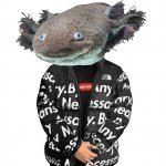 Drip axolotl