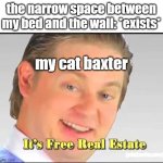 How is he this crazy | the narrow space between my bed and the wall: *exists*; my cat baxter | image tagged in its free real estate | made w/ Imgflip meme maker