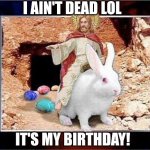 Easter jesus | I AIN'T DEAD LOL; IT'S MY BIRTHDAY! | image tagged in easter bunny jesus | made w/ Imgflip meme maker