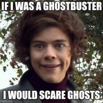 being a ghostbuster | IF I WAS A GHOSTBUSTER; I WOULD SCARE GHOSTS | image tagged in harry funny face | made w/ Imgflip meme maker