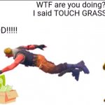 Touch grass meme