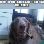 High Dog Meme | COME ON, THE LADDER'S NOT THAT HIGH
THE LADDER: | image tagged in memes,high dog | made w/ Imgflip meme maker