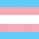 Trans Pride Flag meme