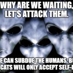 Domesticated? I think not | WHY ARE WE WAITING, LET'S ATTACK THEM. WE CAN SUBDUE THE HUMANS, BUT THE CATS WILL ONLY ACCEPT SELF-RULE | image tagged in angry aliens,cats will never surrender,stupid humans,domesticated cats,self-rule,the truth is out there | made w/ Imgflip meme maker