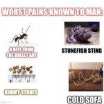 most painful things known to man | COLD SOFA | image tagged in most painful things known to man | made w/ Imgflip meme maker