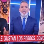 a milei le gusta los perros como a hitler