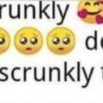 aww the scrunkly | image tagged in aww the scrunkly,custom template | made w/ Imgflip meme maker