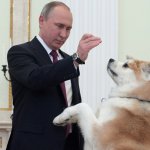Putin's dog. Donald Trump or Tucker Carlson? template