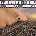 Much puppers | EVERY DOG WITHIN A MILE RADIUS WHEN YOU THROW A BALL | image tagged in dust doge storm,doggo,funny | made w/ Imgflip meme maker