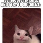 just introvert things... | ME WHEN THE CHURCH SERVICE IS FINISHED AND I TRY TO SOCIALIZE: | image tagged in awkward smile cat | made w/ Imgflip meme maker