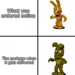 Expectation vs Reality | What you ordered online; The package when it gets delivered | image tagged in expectations vs reality fnaf world edit,expectation vs reality | made w/ Imgflip meme maker