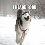 Happy husky  | BE HAPPY LIKE THIS DOGGO; I HEARD FOOD; HAVE A GOOD ONE | image tagged in happy husky | made w/ Imgflip meme maker
