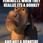 Bad joke | FEMINISTS WHEN THEY REALIZE ITS A DONKEY; AND NOT A DONKSHE | image tagged in sad donkey | made w/ Imgflip meme maker