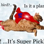 Super cat