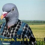 It ain’t much but it’s nest meme