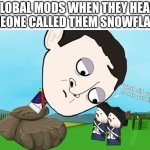 Don't call them snowflakes | GLOBAL MODS WHEN THEY HEAR SOMEONE CALLED THEM SNOWFLAKES: | image tagged in what did you just say to me you little prick | made w/ Imgflip meme maker