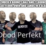 Dood perfekt | WHEN YOU CHUCK A BOUNCY BALL AND IT BOUNCES OFF THE WALL, SINK, CAT, FLOOR, OVEN, AND LANDS IN A GLASS OF WATER | image tagged in dood perfekt | made w/ Imgflip meme maker