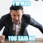 Bruh | I'M MAD; YOU SAID NO | image tagged in bruh | made w/ Imgflip meme maker