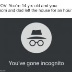 Incognito Momenito | POV: You're 14 yrs old and your mom and dad left the house for an hour | image tagged in you've gone incognito | made w/ Imgflip meme maker