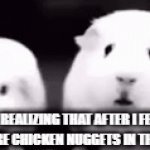 ginuea pig | ME AFTER REALIZING THAT AFTER I FELL ASLEEP THERE WHERE CHICKEN NUGGETS IN THE AIR FRYER | image tagged in gifs,funny memes,food,guinea pig | made w/ Imgflip video-to-gif maker