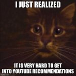 YouTube Recommendations Sucks! | I JUST REALIZED; IT IS VERY HARD TO GET INTO YOUTUBE RECOMMENDATIONS | image tagged in close up surprised cat | made w/ Imgflip meme maker