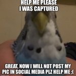 Cute but captured | HELP ME PLEASE I WAS CAPTURED; GREAT, NOW I WILL NOT POST MY PIC IN SOCIAL MEDIA PLZ HELP ME ;( | image tagged in help i was captured | made w/ Imgflip meme maker