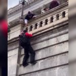 Trump Wall Capitol Riot Treason Republican GIF Template