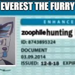 kill zoophiles | EVEREST THE FURRY | image tagged in zoophile hunting license,furries | made w/ Imgflip meme maker