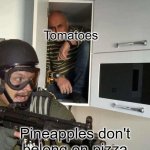 Tomatoes | Tomatoes; Pineapples don't belong on pizza because they're fruits | image tagged in man hiding in cabinet,tomatoes,pineapple pizza,pizza,oh wow are you actually reading these tags | made w/ Imgflip meme maker