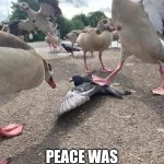 Peace Was Never An Option | PEACE WAS NEVER AN OPTION | image tagged in peace was never an option | made w/ Imgflip meme maker