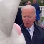 Biden bunny