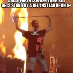 Travis Scott  | ASIAN PARENTS WHEN THEIR KID GETS STUNG BY A BEE, INSTEAD OF AN A+ | image tagged in travis scott,funny memes | made w/ Imgflip meme maker