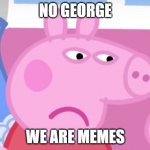 Angry Peppa Pig | NO GEORGE; WE ARE MEMES | image tagged in angry peppa pig | made w/ Imgflip meme maker