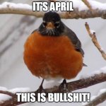 It's April - BS | IT'S APRIL; THIS IS BULLSHIT! | image tagged in mad robin in snow | made w/ Imgflip meme maker