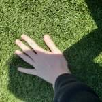 Touching grass