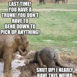 Elephants and experimentation | FOR THE LAST TIME! YOU HAVE A TRUNK! YOU DON'T HAVE TO BEND DOWN TO PICK UP ANYTHING! SHUT UP! I NEARLY HAVE THIS WEIRD STICK IN MY MOUTH! JUST A LITTLE LOWER! | image tagged in monday elephant,test,learning | made w/ Imgflip meme maker