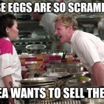 Gordon Ramsey | THESE EGGS ARE SO SCRAMBLED; IKEA WANTS TO SELL THEM! | image tagged in gordon ramsey | made w/ Imgflip meme maker