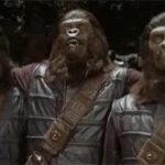 apes together GIF Template