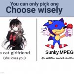 Choose | Sunky.MPEG (He Will Give You Milk And Cereal) | image tagged in choose wisely | made w/ Imgflip meme maker