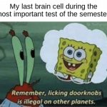 say goodbye to your gpa | My last brain cell during the most important test of the semester: | image tagged in spongebob licking doorknobs | made w/ Imgflip meme maker