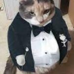 Fat cat in tuxedo template