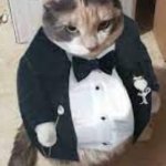 Share this meme | SHARE THIS | image tagged in fat cat in tuxedo,fat cat,cat,tuxedo | made w/ Imgflip meme maker