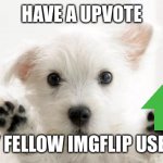 cute dog | HAVE A UPVOTE; MY FELLOW IMGFLIP USERS | image tagged in cute dog | made w/ Imgflip meme maker