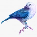Beautiful watercolor bird template
