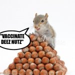 Vaccinate deez nutz | "VACCINATE DEEZ NUTZ" | image tagged in vaccinate deez nutz | made w/ Imgflip meme maker